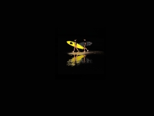 papillon-de-nuit-80-x-80
